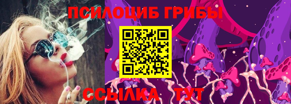 Галлюциногенные грибы Psilocybe Симферополь